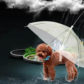 Transparent Pet Umbrella - Creative Dog Walking Accessory