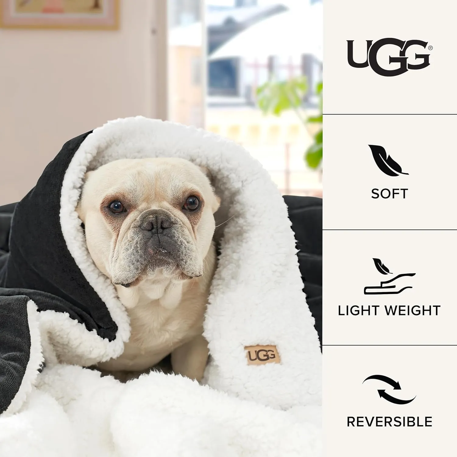 UGG Nita Throw Blanket Soft Reversible Plush Throw for Couch or Bed Cozy Fuzzy Warm Fluffy Blanket for Living Room or Cute Bedroom Decor Down Alternative Washable, 50-inch x 70-inch, Charcoal Grey