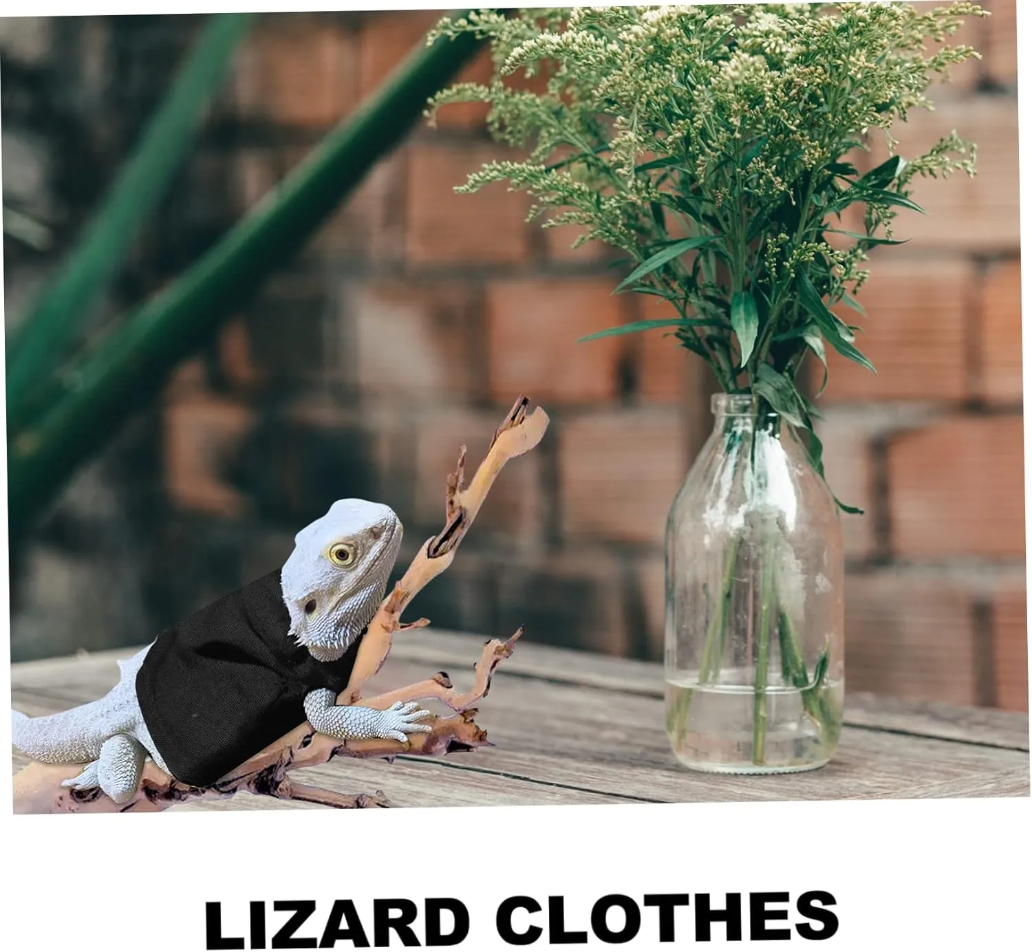 Warm Lizard Dress Festival Reptile Clothing for Bearded Dragon Accessories
