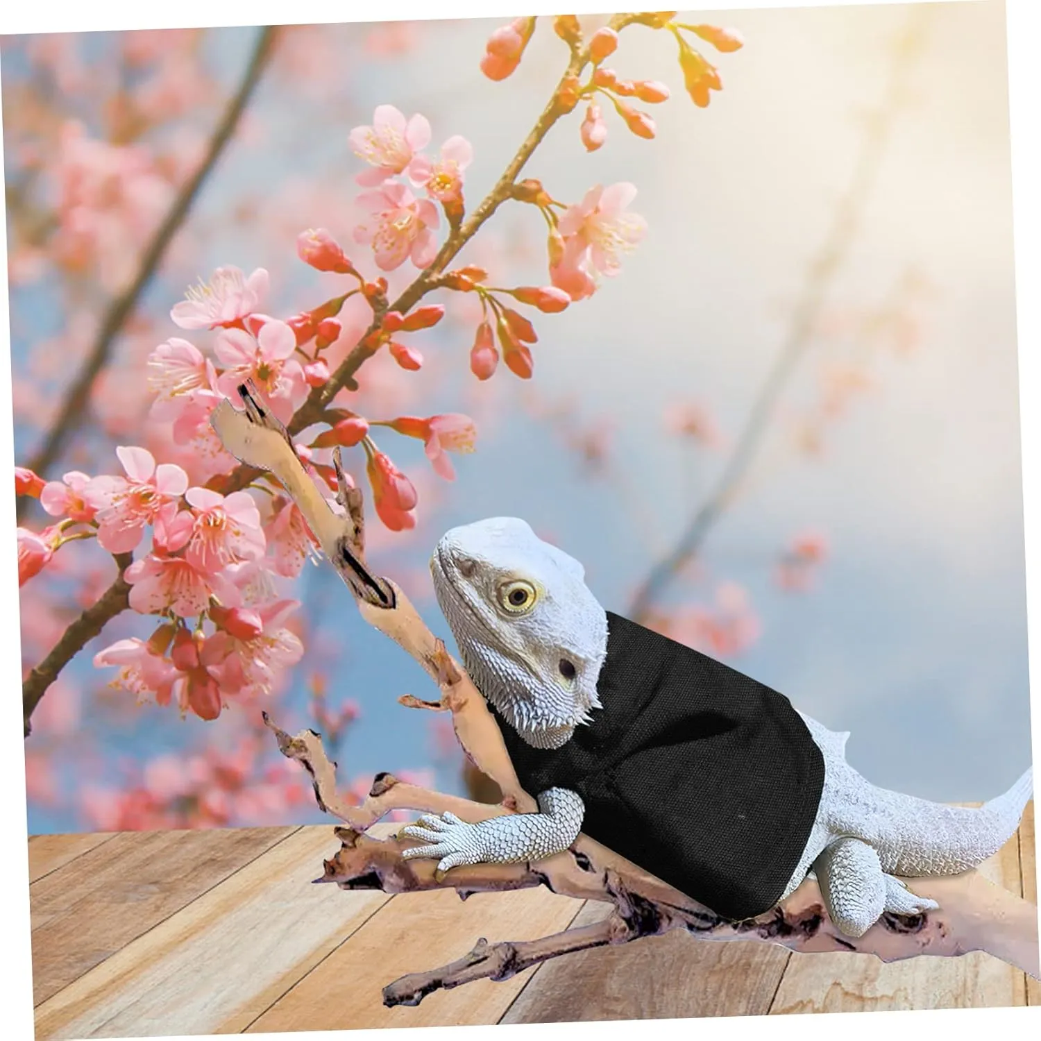 Warm Lizard Dress Festival Reptile Clothing for Bearded Dragon Accessories