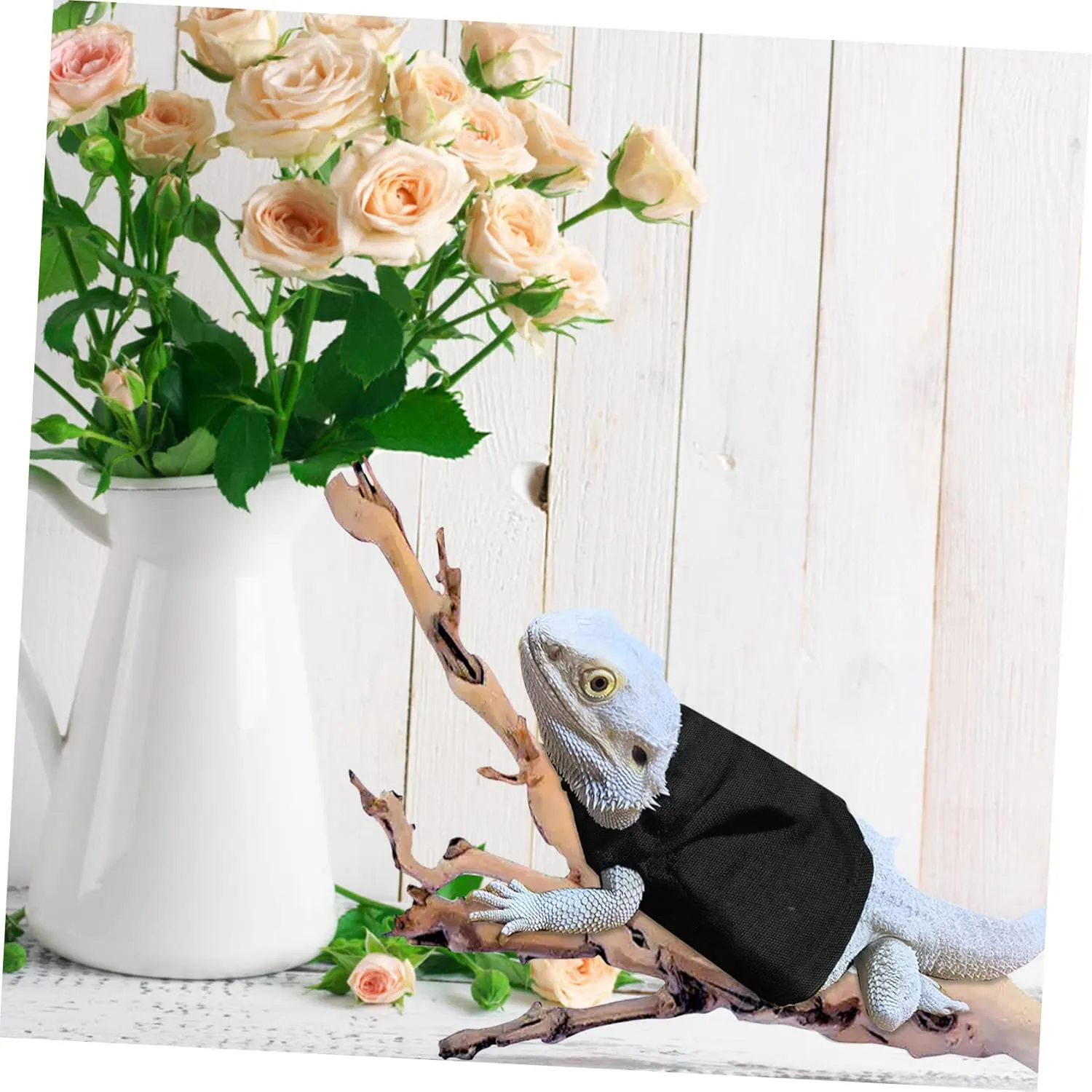 Warm Lizard Dress Festival Reptile Clothing for Bearded Dragon Accessories