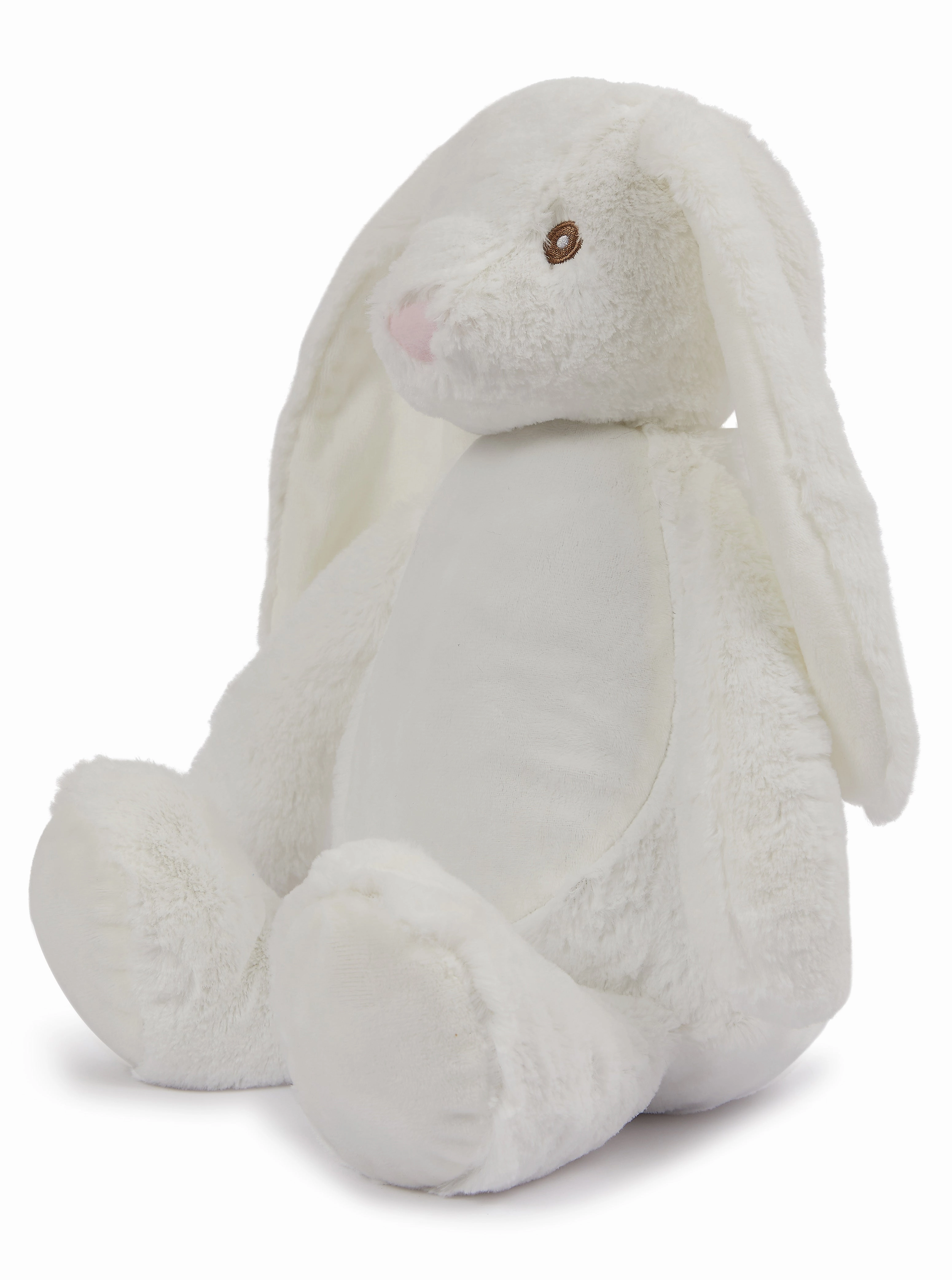 White Bunny Rabbit 2